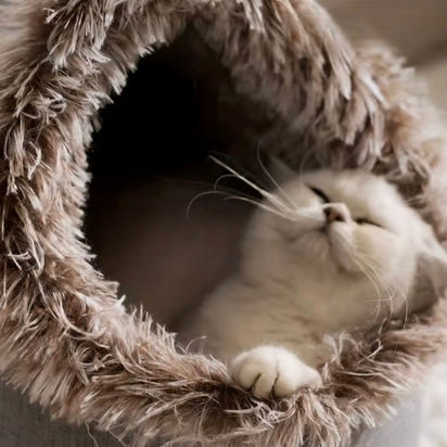 PET WINTER™ SLEEPING BED