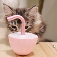 GlowPaw™ Bubble Laser